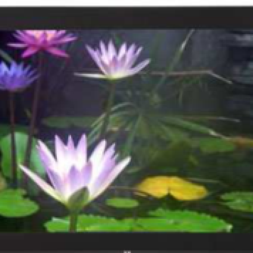 Rugged Large Area Display Rugged Large Area Display